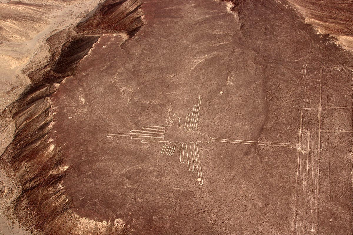 Peru. Nazca-linjer - kolibri. Foto
