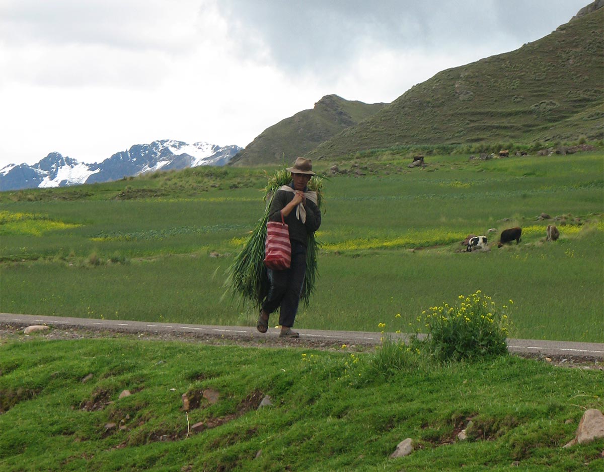 Peru. Altiplano mellom Cusco og Puno. Landskap. Foto