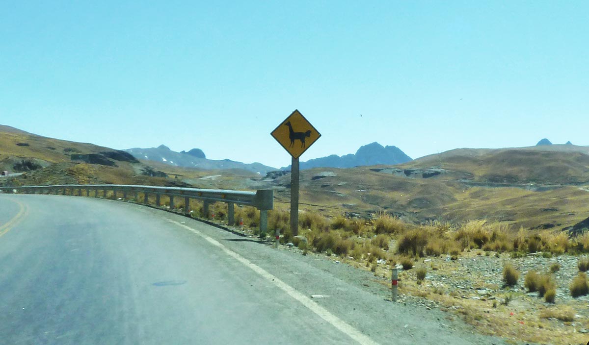 Bolivia. Veien fra La Paz til Las Yungas gjennom høysletten Altiplano. Varsleskilt for lamaer.