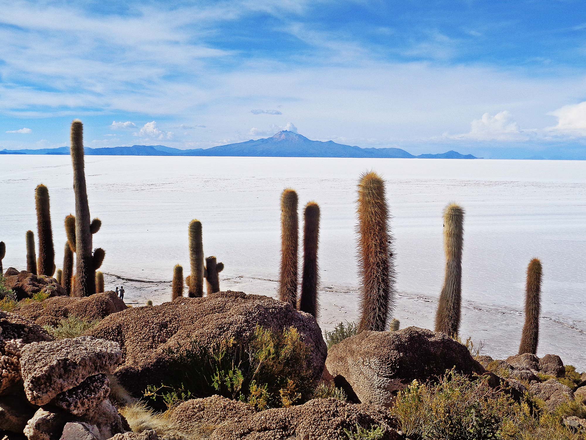Bolivia, Uyuni saltslette. Foto