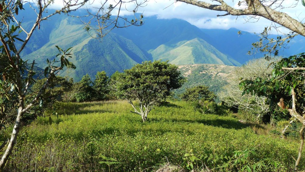 Bolivia, Las Yungas, landskap ved Coroico. Foto