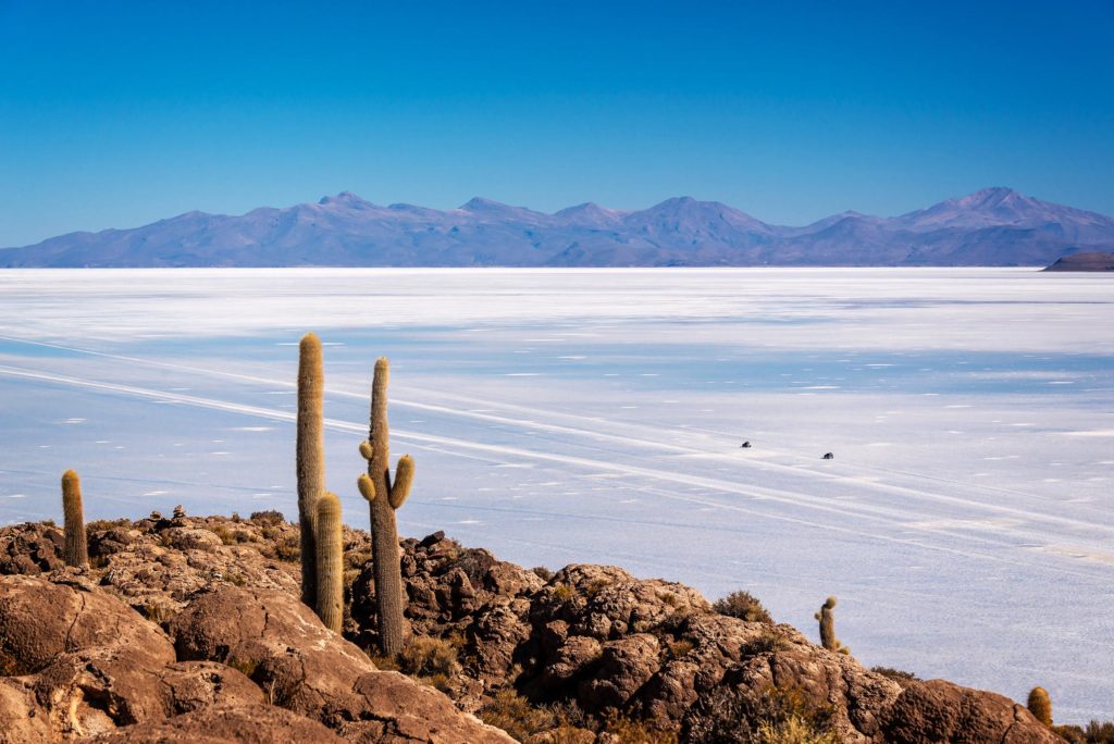 Bolivia. Salar de Uyuni. Utsikt fra Isla de Pescado. Foto