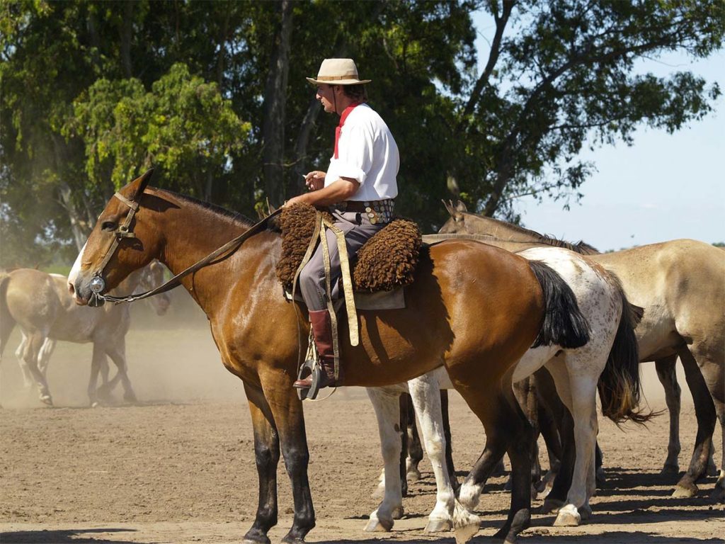 Cauchos - argentinske cowboys. Foto