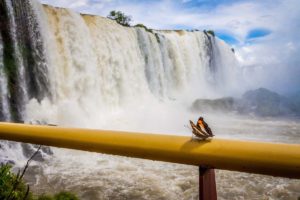 Iguazu-fallene. Foto