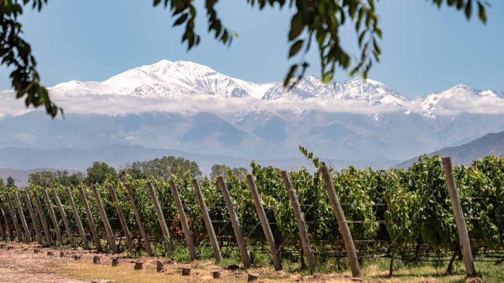 Argentina. Mendoza-vindistrikt. Landskap med vinmarker og Andesfjellene. Foto