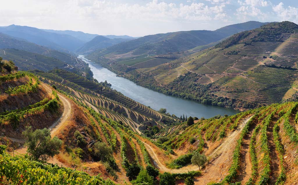 Portugal. Douro-dalen. Landskap. Foto