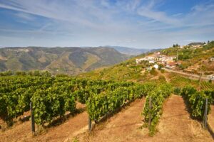 Portugal. Douro-dalen. Landskap. Foto