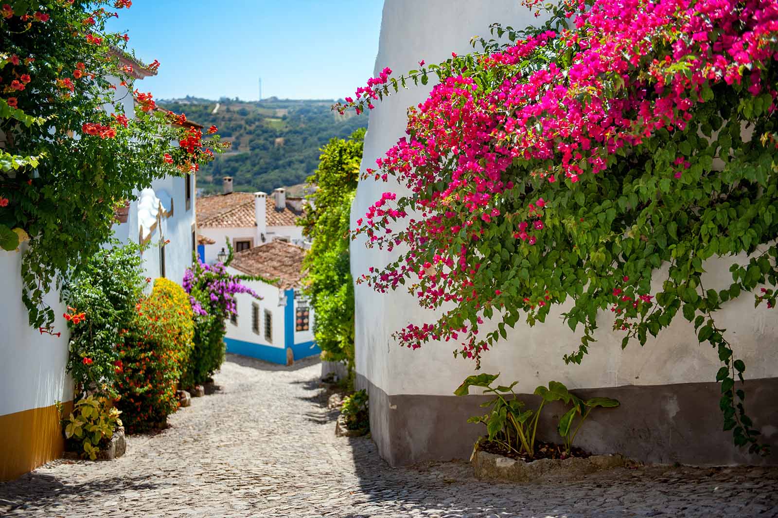 Portugal. Byen Obidos. Gate, vår og blomster. Foto