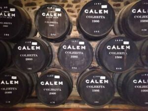 Portugal. Porto. Portvinstønner hos Calem. Foto