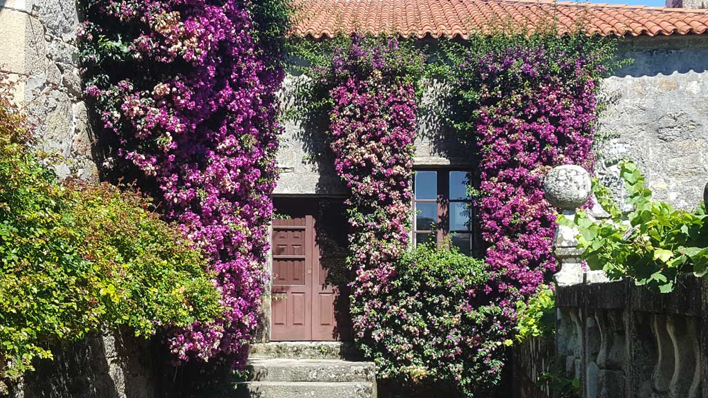 Spania. Galicia. Fasaden av et typisk hus dekket med blomster. Foto
