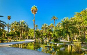 Spania. Elche. Palmeparken. Foto