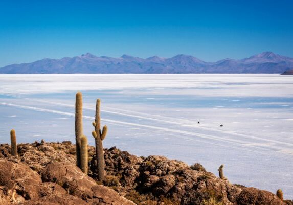 Bolivia. Salar de Uyuni. Utsikt fra Isla de Pescado. Foto