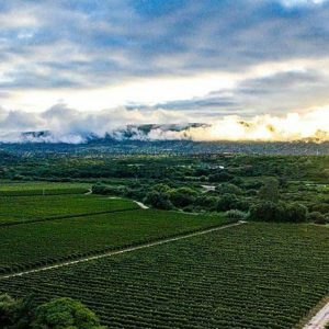 Bolivia. Trarija. Landskap med drueplantasjen. Foto