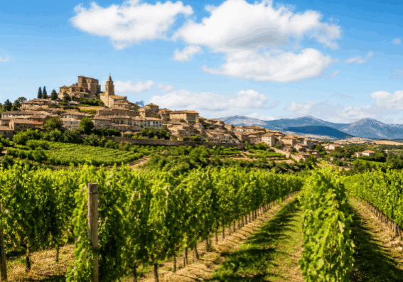 Vinmarkene i Rioja Alavesa