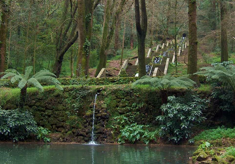 Portugal. Vannkilde i Bussaco-skogen. Fonte Fria.