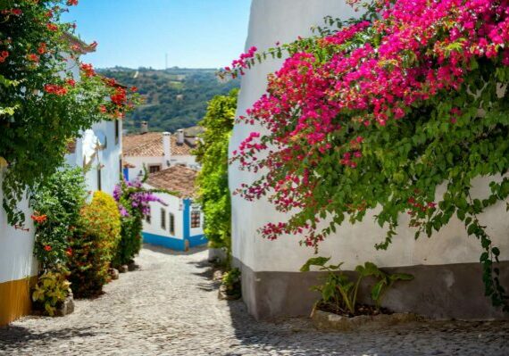 Portugal-Obidos-blomster Portugal. Byen Obidos. Gate, vår og blomster. Foto